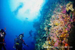meridian-adventure-dive