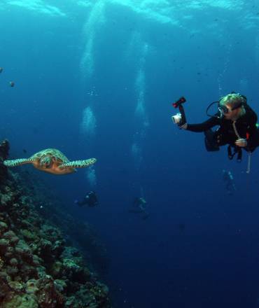 Togean Diving