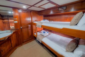 Mermaid II Liveaboards Indonesia