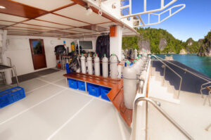 Mermaid II Liveaboards Indonesia