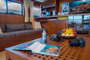 Mermaid II Liveaboards Indonesia
