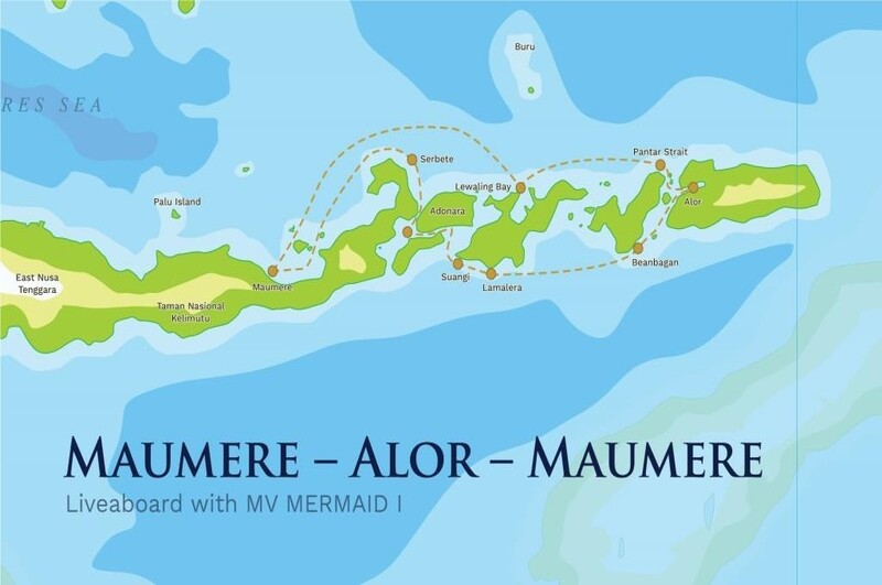 mermaid liveaboard
