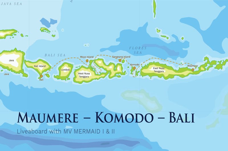 mermaid liveaboard