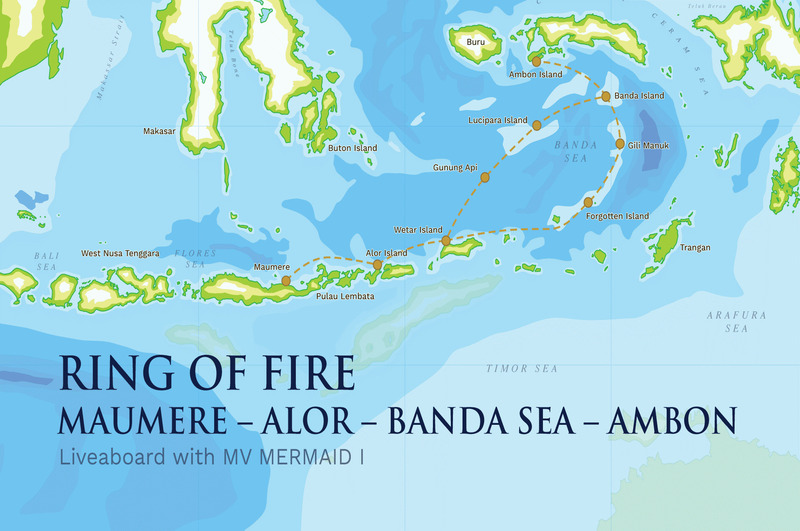 mermaid liveaboard