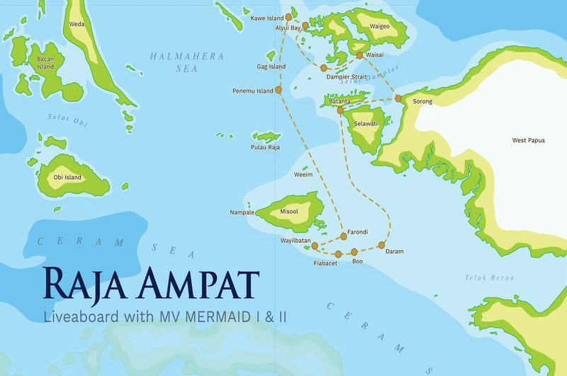 mermaid liveaboard
