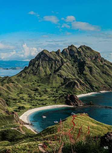 Komodo Island Tour