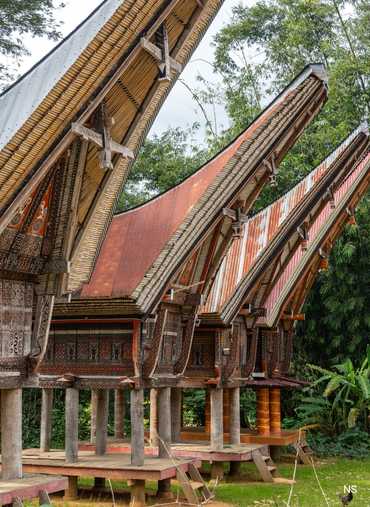 Toraja Tour Sulawesi