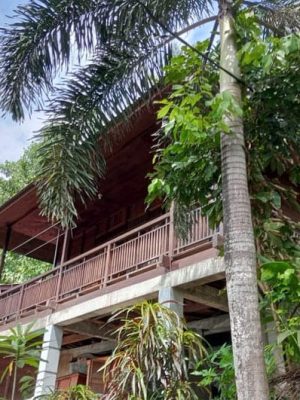 dive travel indonesia bastianos lembeh